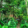 Pu Luong Jungle Lodge