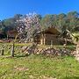 Glamping VALL de CODÓ