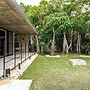 BANYAN217