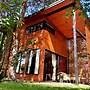 A Modern House on the Edge of the Forest