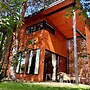 A Modern House on the Edge of the Forest