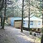 Mushroom Yurt set in 4 Acres of Woodland and Lakes