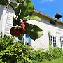6 Person Holiday Home in Ostra Antervik