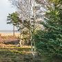 5 Person Holiday Home in Romo