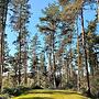 6 Person Holiday Home in Gjern-by Traum