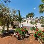 3229 Trullo Mimosa by Perle di Puglia