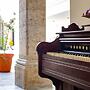 Palpatio Hotel Boutique