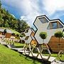 Bee House Flip