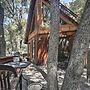 Updated 'tree House' Pine Mtn Club Cabin by Trails