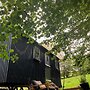 Cornwall Woodland Dog Friendly Shepherd's Hut