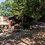 Chalet in the Woods With Jacuzzi and Sauna