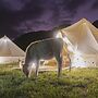 Andean Glamping