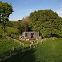 Impeccable Shepherds hut Sleeping up to 4 Guests