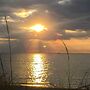 2 Mi to Boardwalk: Home w/ Grill in Dania Beach!