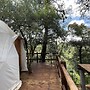 MANDALA CAMP
