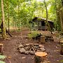 Natural Green Lodge