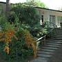 Spacious Villa in Lignano Pineta - Beahost Rentals
