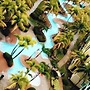 Beachside Adventure Suites