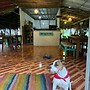 Tree of Life - Hostel