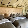 Arena Desert Camp & Activitys