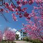 Baili Manor Cing Jing