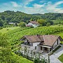 Vineyard Cottage Radovlja With Sauna