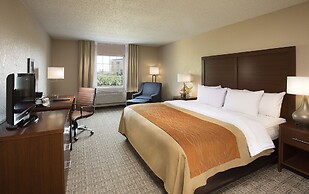 Hotel Comfort Inn St Louis Westport Maryland Heights United