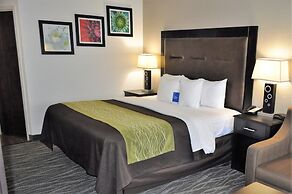 Hotel Comfort Inn Downtown Charleston Charleston United States