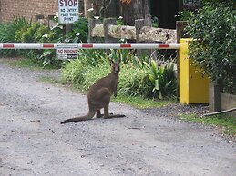 Hotel Jervis Bay Cabins Hidden Creek Campsite Woollamia