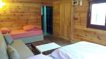 Hotel Ayder Selale Dag Evi Camlihemsin Turkey Lowest Rate Guaranteed