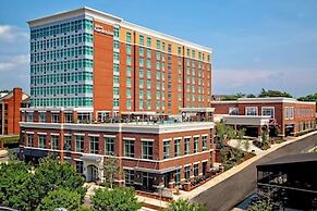 hilton