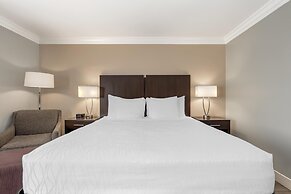 Best Western Plus LA Mid Town Hotel