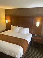 Comfort Inn - Springfield