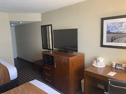 Comfort Inn - Springfield