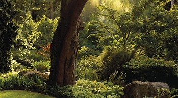 Huka Lodge