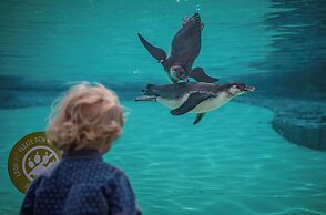 Crowne Plaza Chester by IHG