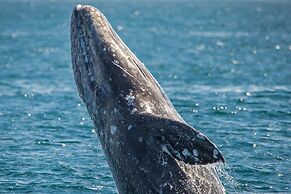 Marriott Long Beach Downtown