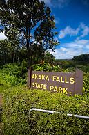 Grand Naniloa Hotel Hilo - a Doubletree by Hilton