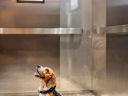 ibis Regensburg City