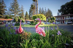 The Palo Alto Inn