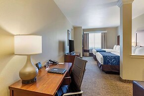 Comfort Suites Near Denver Downtown