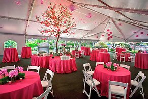 Trumbull Marriott Shelton