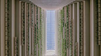 InterContinental Brisbane by IHG