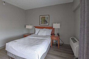 La Quinta Inn & Suites by Wyndham New Haven