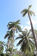 Colonial Palms Motor Inn