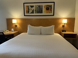 Hotel Nexus, BW Signature Collection