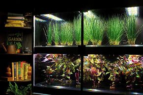 JW Marriott Washington DC