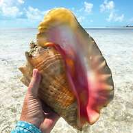 Stella Maris Resort Club