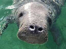 Stella Maris Resort Club