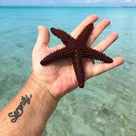 Stella Maris Resort Club